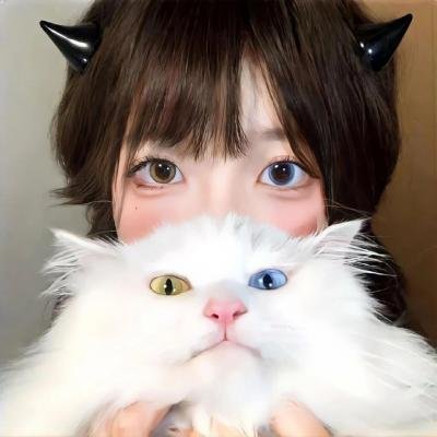 回转企鹅罐剧场版后篇我爱你